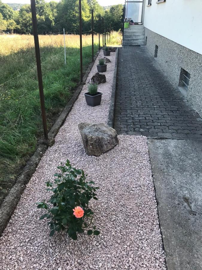 Ferienwohnung Sunny - Moderne Ferienwohnung Im Gruenen In Saarbruecken-West Saarbrücken Exterior foto